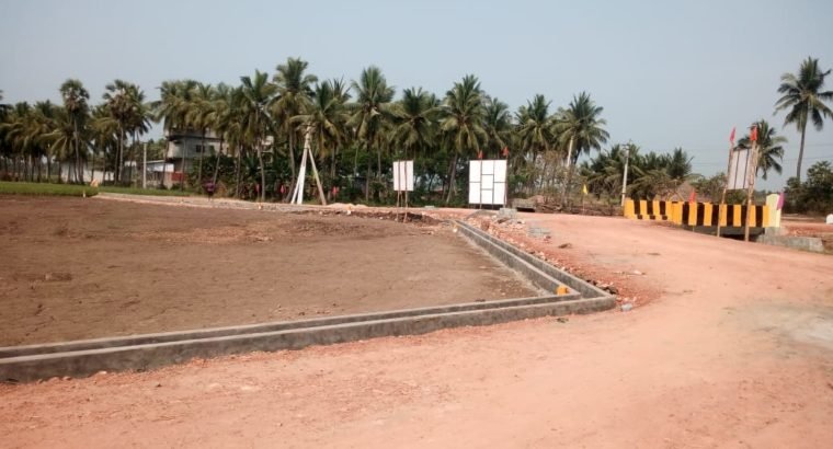 DTCP Plots for Sale at Ayyapa Nagar, Polamuru, Penumantra Mandalam.