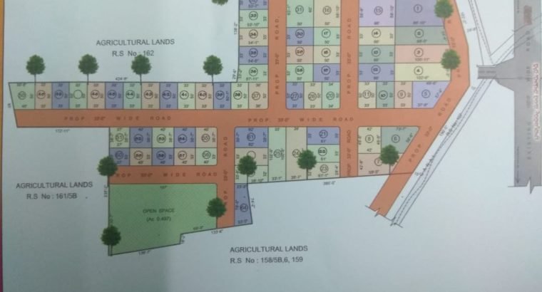DTCP Plots for Sale at Ayyapa Nagar, Polamuru, Penumantra Mandalam.