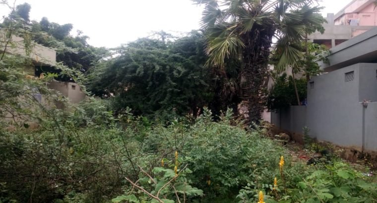 Site For Sale at Valasapakala, Kakinada