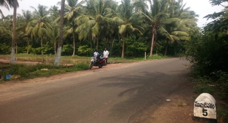 Plots For Sale at K.Jagannadhapuram, Ainavalli Mandalam.