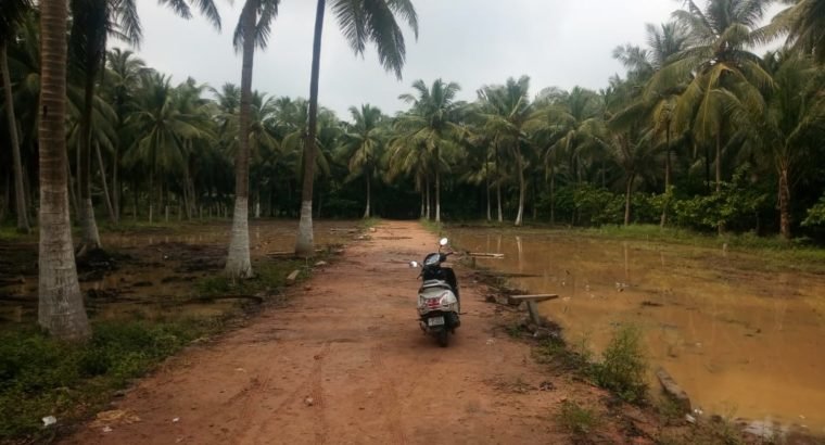 Plots For Sale at K.Jagannadhapuram, Ainavalli Mandalam.