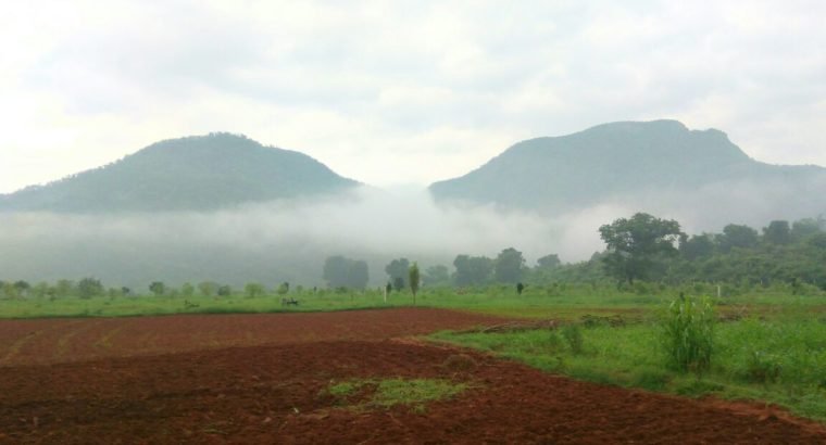 Sandal Wood Plantation Plots for Sale at Aaraku Valley