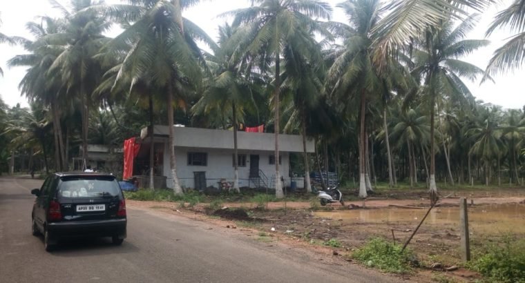 Plots For Sale at K.Jagannadhapuram, Ainavalli Mandalam.