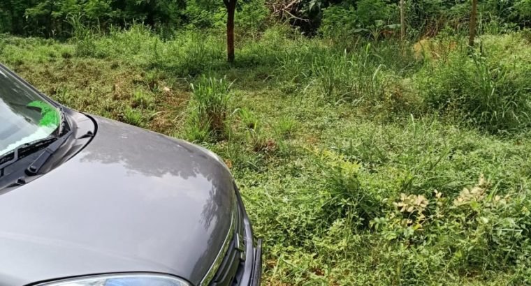 Open Land for Sale at Palangi, Tanuku