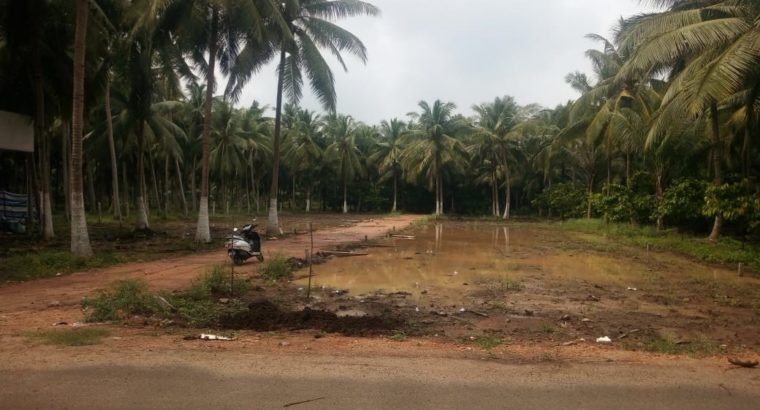 Plots For Sale at K.Jagannadhapuram, Ainavalli Mandalam.
