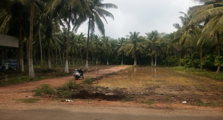 Plots For Sale at K.Jagannadhapuram, Ainavalli Mandalam.