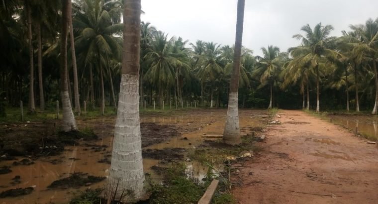 Plots For Sale at K.Jagannadhapuram, Ainavalli Mandalam.