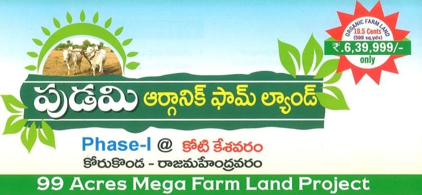 99 Acres Mega Farm Land Project at kotikesavaram, Korukonda, Rajahmundravaram