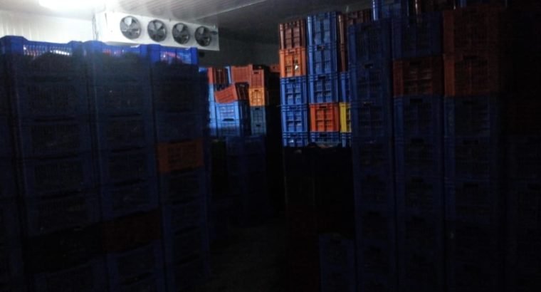 Cold storage for Rent at Agiripalli, Kalaturu panchayat.