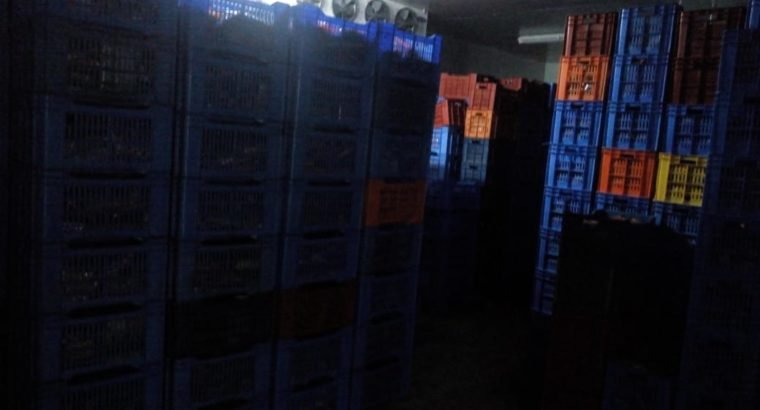 Cold storage for Rent at Agiripalli, Kalaturu panchayat.