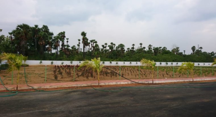 Deluxe 2BHK Independent House, Open Plots & Commercial Plots Available at Thalluri Township, Tagarapuvalasa