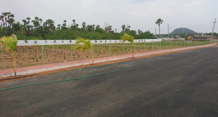 Deluxe 2BHK Independent House, Open Plots & Commercial Plots Available at Thalluri Township, Tagarapuvalasa