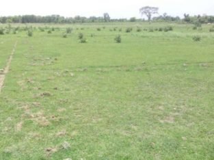 Open Land For Sale at Near X-Roads, Jaityala