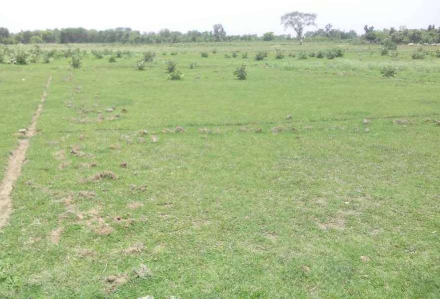 Open Land For Sale at Near X-Roads, Jaityala