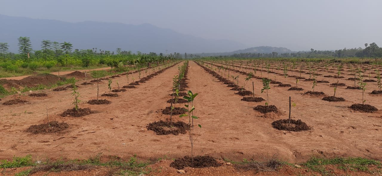 Residential Plots For Sale at Arilova, Visakhapatanam