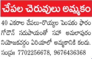 Fish Farm For Sale at Amalapuram Constituency Area, AP, India