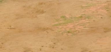 Plots, Lands & House For Sale or Purchase in and Around Visakhapatnam & Vizianagaram