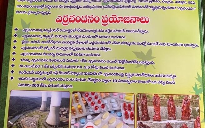 Sai Krishna Estates and Projects Podili, Prakasam District