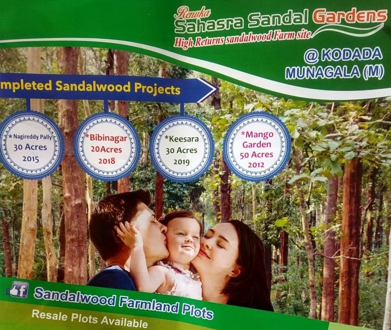Open Plots for Sale with Sandlawood Plantation at Suryapet, Munagala Mandal