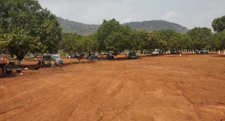 99 Acres Mega Farm Land Project at Madhavaram, Missannapeta Main Road, A.Konduru.