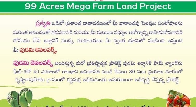 Farm lands in Krishna district low pricess