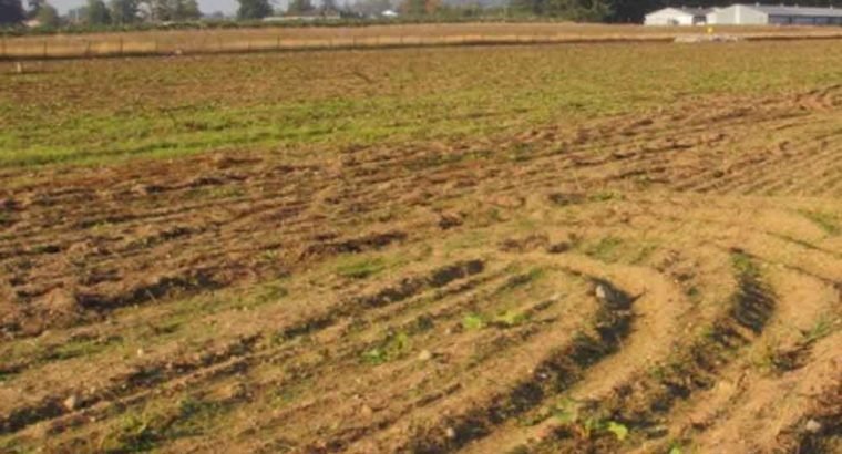 Agricultural Land For Sale at Variguntham Village, Kulcharam, Medak