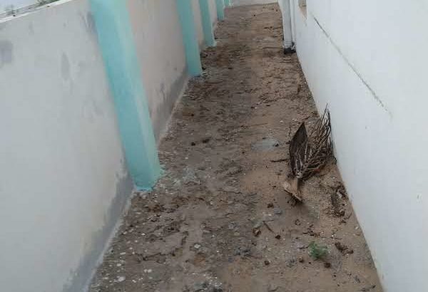 2 BHK Independent House For Rent at P.N Colony, Srikakulam