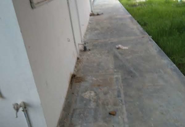 2 BHK Independent House For Rent at P.N Colony, Srikakulam
