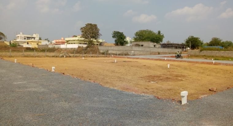200 Plots for Sale at Surampalli Village, Vijayawada