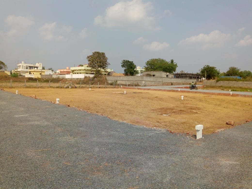 200 Plots for Sale at Surampalli Village, Vijayawada