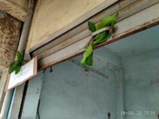 Commercial Shop For Rent Buttayyagudem Road, Main Road Jangareddygudem