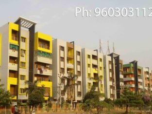 3 & 2 BHK Flats for Sale at Dasannapeta, Vizianagaram