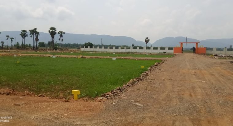 Open Plots For Sale Near Milk Factory, Vijayawada