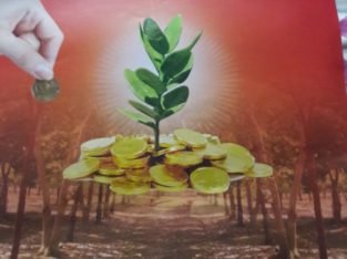 Agriculture Farm Land for Sale at Bhoomireddy Palli Village, Kanigiri Mandal