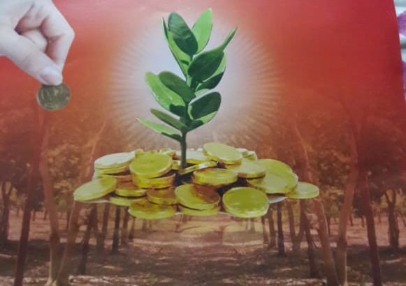 Agriculture Farm Land for Sale at Bhoomireddy Palli Village, Kanigiri Mandal