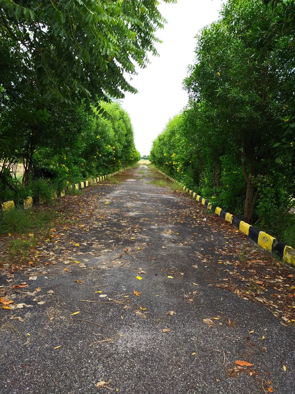 Farm Land Plots for Sale at Chimalakondur, Mothkur Road, Yadadri.