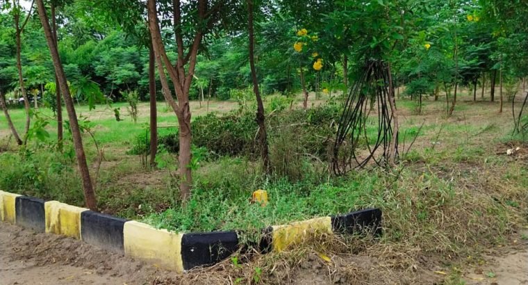 Farm Land Plots for Sale at Chimalakondur, Mothkur Road, Yadadri.