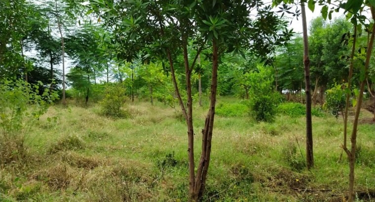 Farm Land Plots for Sale at Chimalakondur, Mothkur Road, Yadadri.