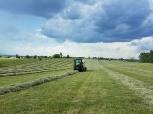 Agriculture Land for Sale at Korukollu,Yendagandi road, Bhimavaram.