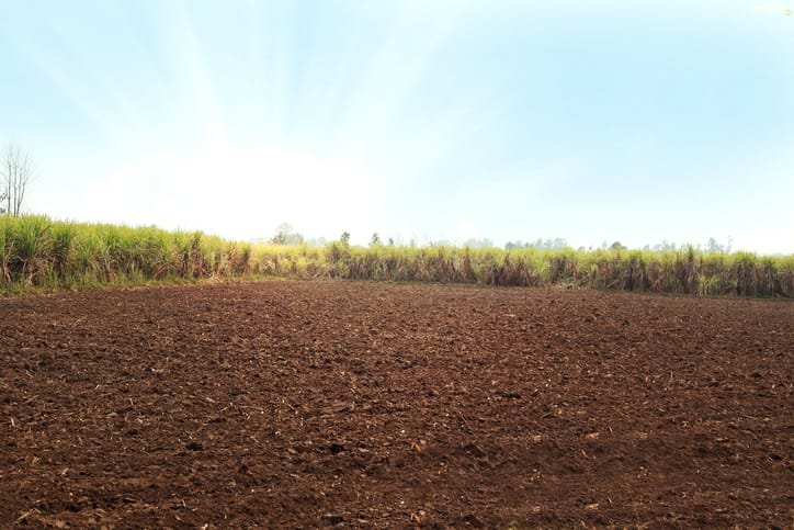 60 Acres Agriculture Land for Sale at Srikakulam.