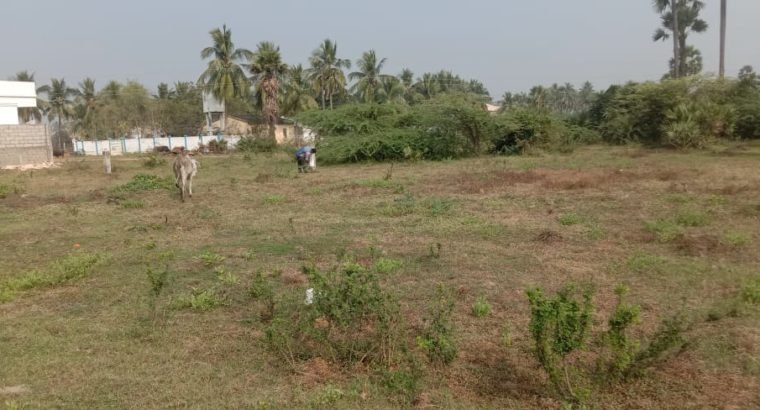 Open Plots For Sale at Satyavathi Nagar, Tadepalligudem.