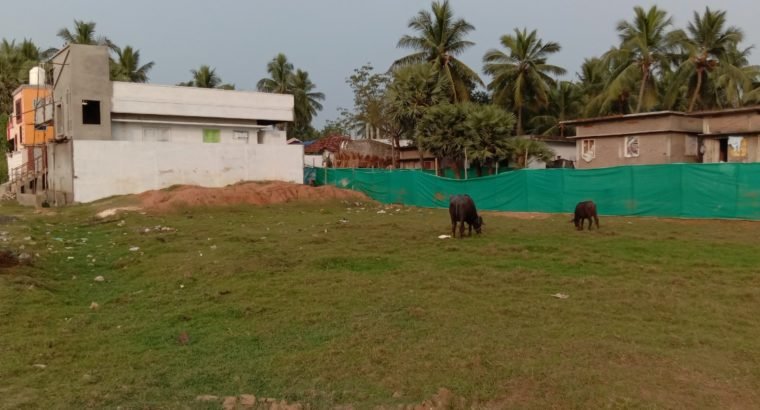 Open Plots For Sale at Satyavathi Nagar, Tadepalligudem.
