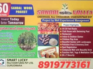 60 Acres Farm Land Plots with Sandalwood Plants For Sale at Cheedikada , Near Chodavaram, Visakhapatnam District.