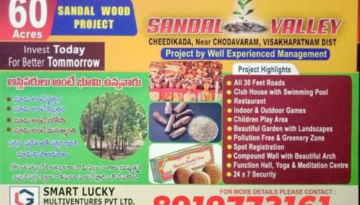 60 Acres Farm Land Plots with Sandalwood Plants For Sale at Cheedikada , Near Chodavaram, Visakhapatnam District.