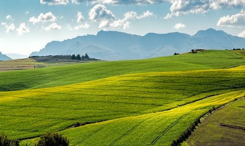 Agriculture Land for Sale at Ratnayyammapeta, Srirampuram, Visakhapatnam