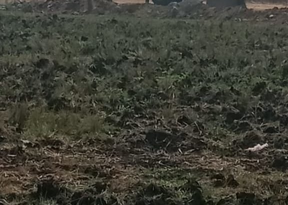 Open Plots For Sale at Sricity Prime, Kankipadu, Vijayawada.