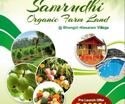 Samrudhi Organic Farm Lands for Sale at Kesaram Village, Bhongiri.