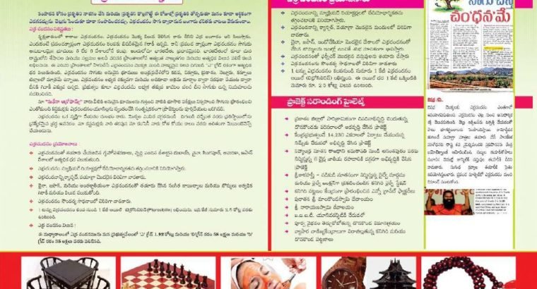 Farm Land with Red Sandal Plants For Sale at Bhoomireddy Village, Prakasam Dist
