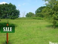 Agriculture Lands For Sale At Nellore And Prakasam District.