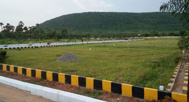 Residential Open Plots For Sale Near Annavaram.